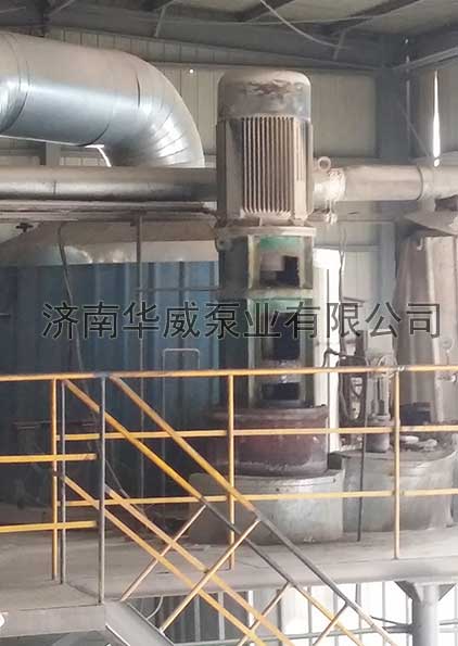 Phthalic anhydride molten salt pump in the industry