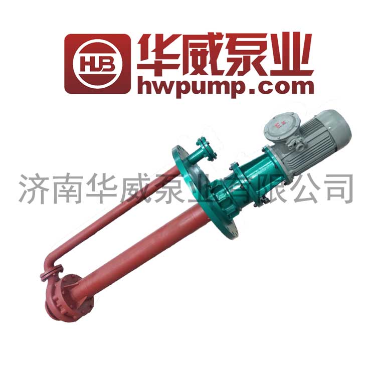 MOLTEN SALT PUMP