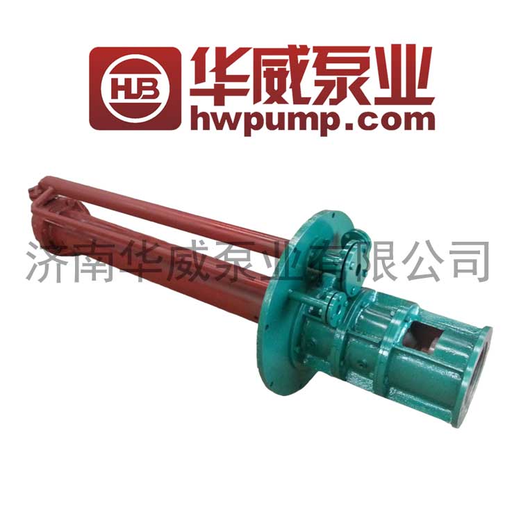 MOLTEN SALT PUMP