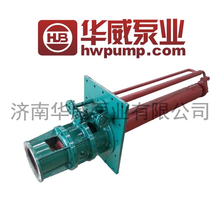 MOLTEN SALT PUMP