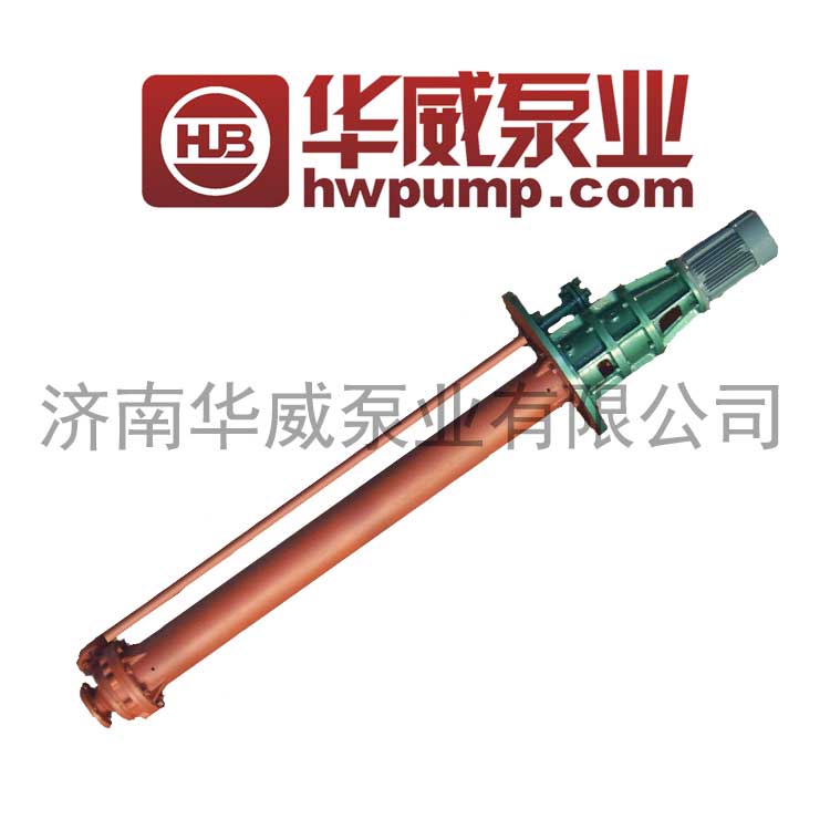 MOLTEN SALT PUMP